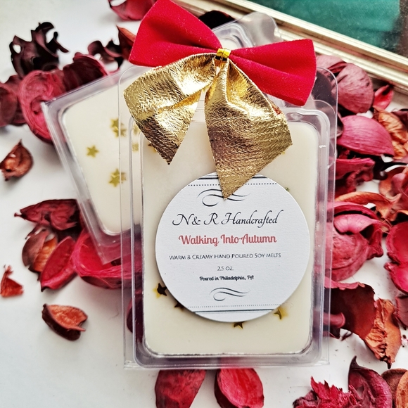 Holiday Seasoned Triple Fragranced Soy Melts U Choose 3 for 12 - Picture 1 of 5